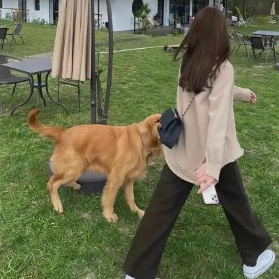 百集聊斋之人鬼情缘